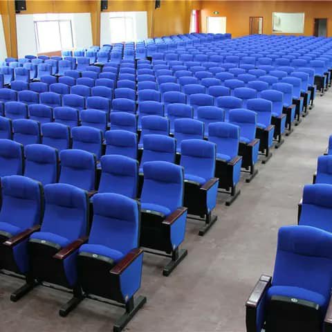 Rows of blue auditorium chairs